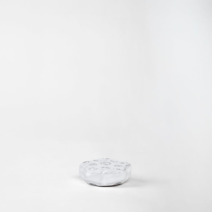 RANA FLORAL 2.5CM AL 7.5CM L 7.5CM AN