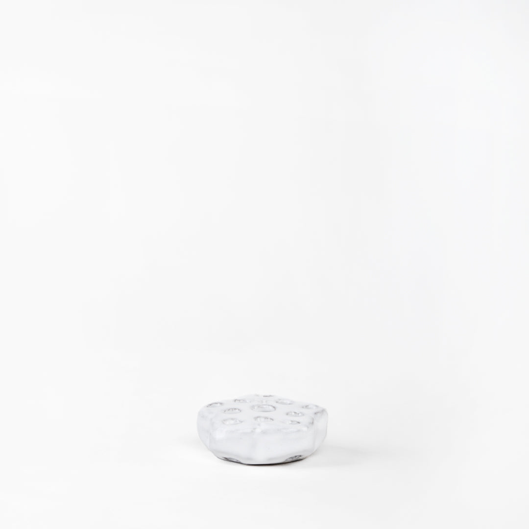 RANA FLORAL 2.5CM AL 7.5CM L 7.5CM AN