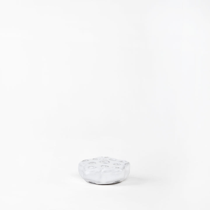 RANA FLORAL 2.5CM AL 7.5CM L 7.5CM AN