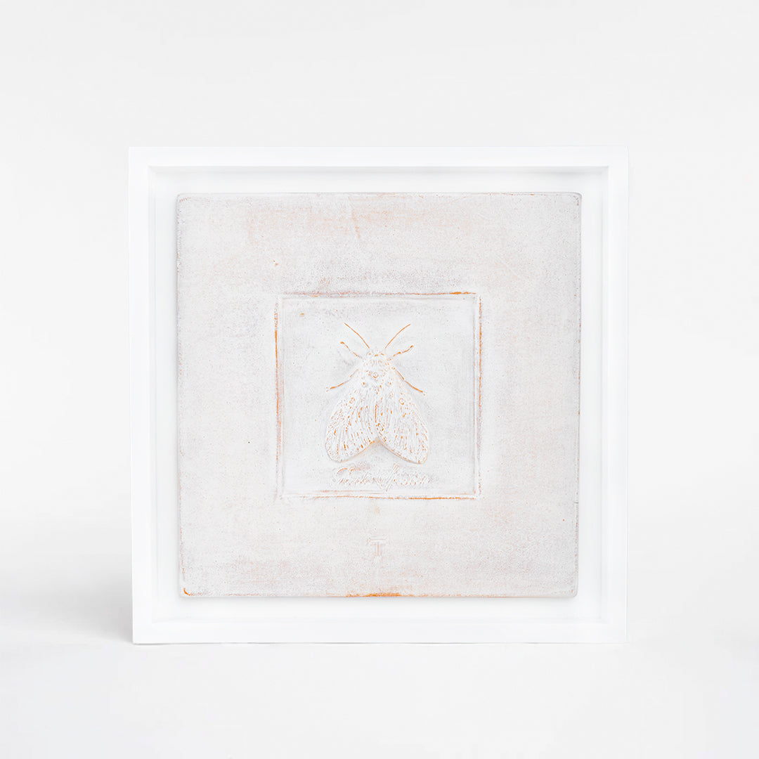 CUADRO POLILLA ASOTA SPEICIOSA C/MARCO 48.5CM A 48.5CM L