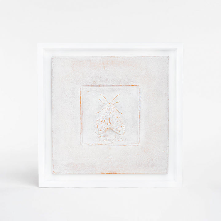 CUADRO POLILLA ASOTA SPEICIOSA C/MARCO 48.5CM A 48.5CM L