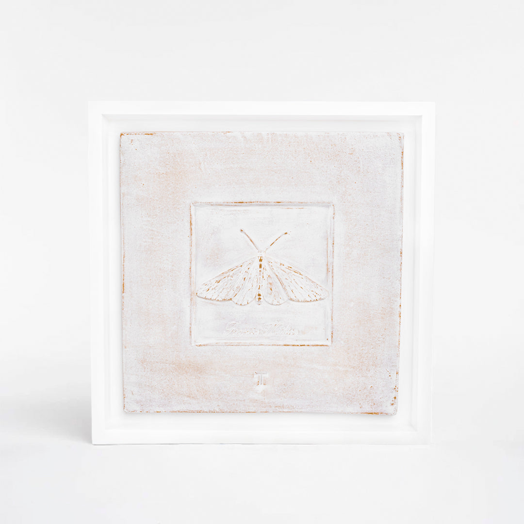 CUADRO POLILLA ACRAEA NATILICA C/MARCO 48.5CM A 48.5CM L