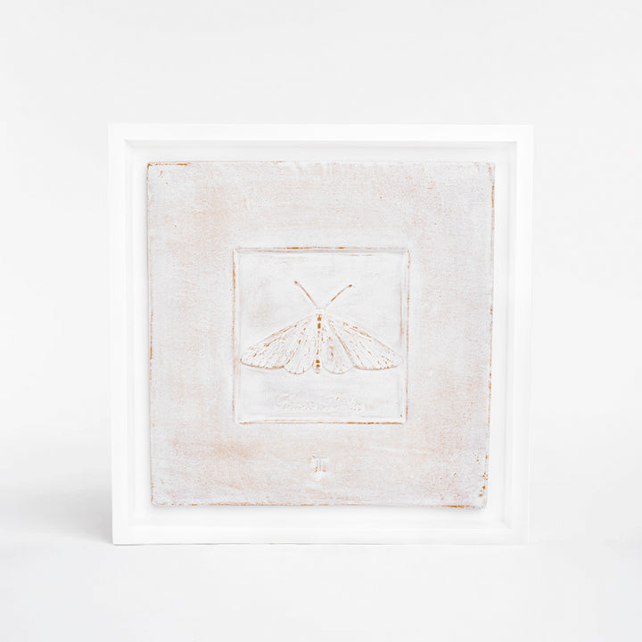 CUADRO POLILLA ACRAEA NATILICA C/MARCO 48.5CM A 48.5CM L