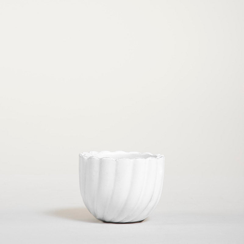 FLORERO ASTRIADO 6CM AL 8CM D | Trinitate