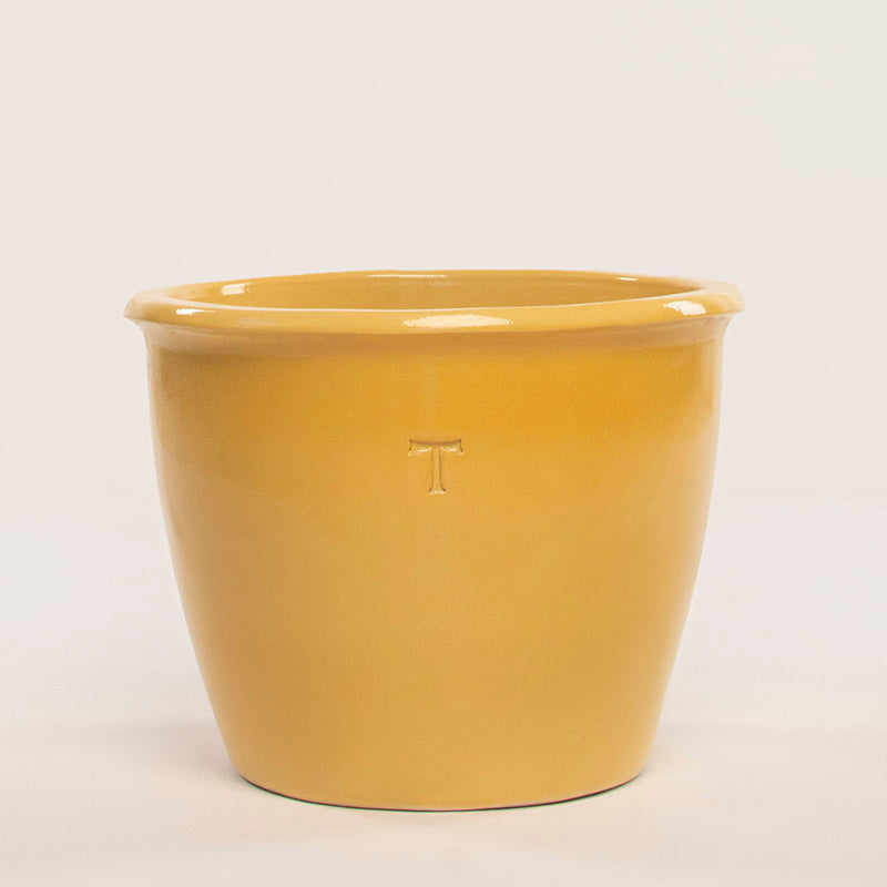 BOWL MEXICANO 41CM AL 51CM DBOCA | Trinitate