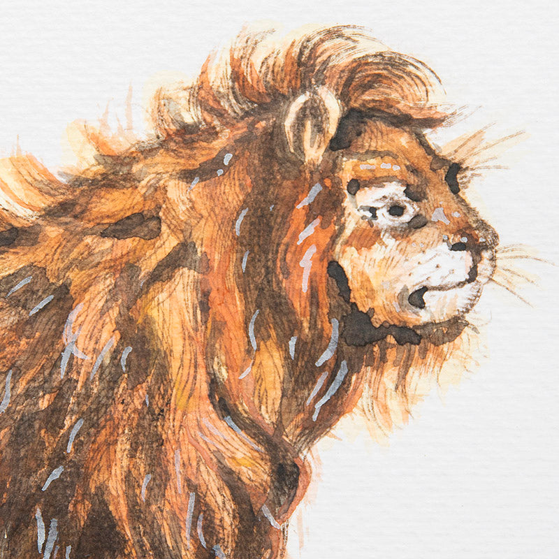 GRABADO LEON DE DURERO / MARCO 42CM AL 51.5CM L 5CM AN | Trinitate