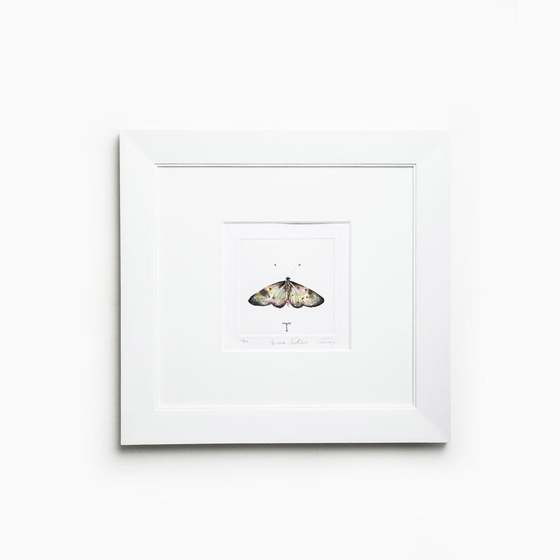 ACRAEA NATILICA MARCO ITALY / MARCO 39.5CM AL 41.5CM L 2CM AN | Trinitate