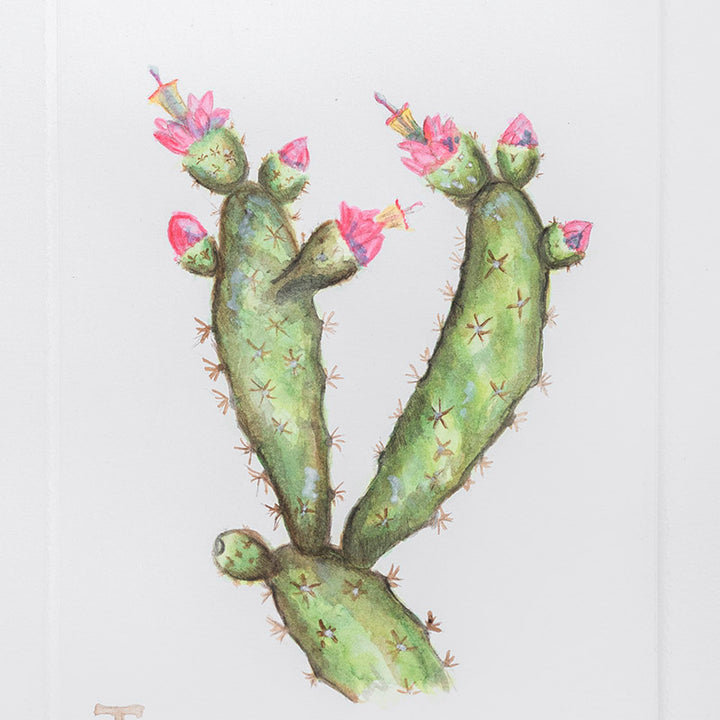 NOPAL COCHINILLA / MARCO 52CM AL 42CM L 5CM AN