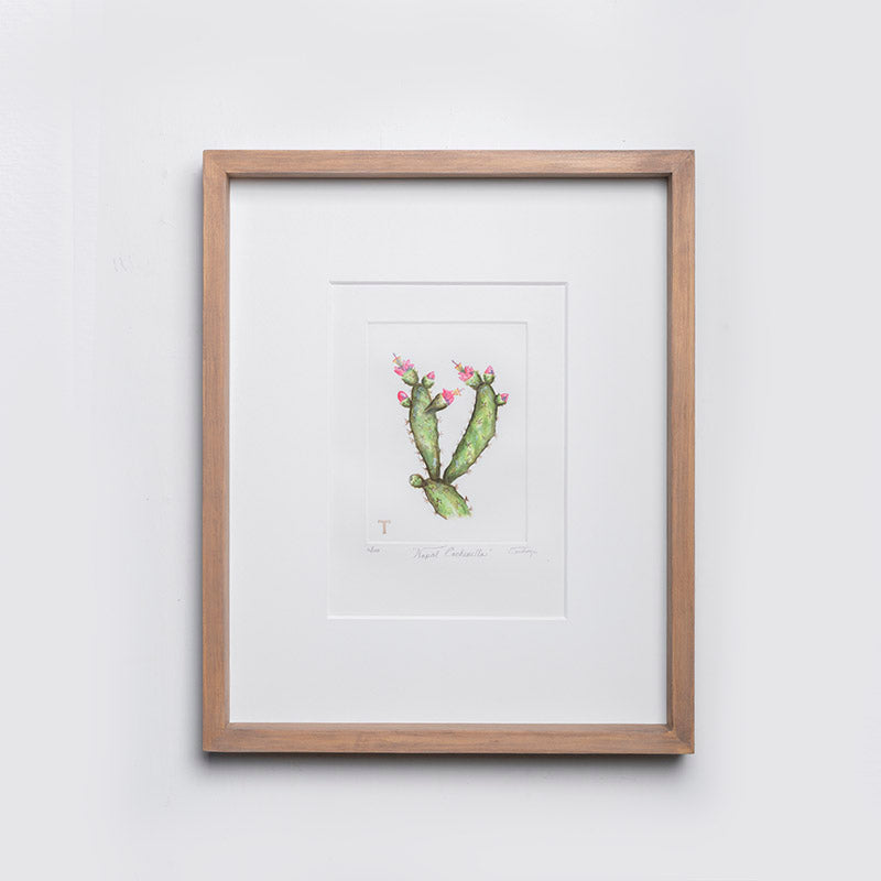 NOPAL COCHINILLA / MARCO 52CM AL 42CM L 5CM AN