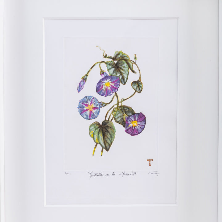 ESTRELLA DE LA MAÑANA / MARCO 51.5CM AL 42CM L 5CM AN