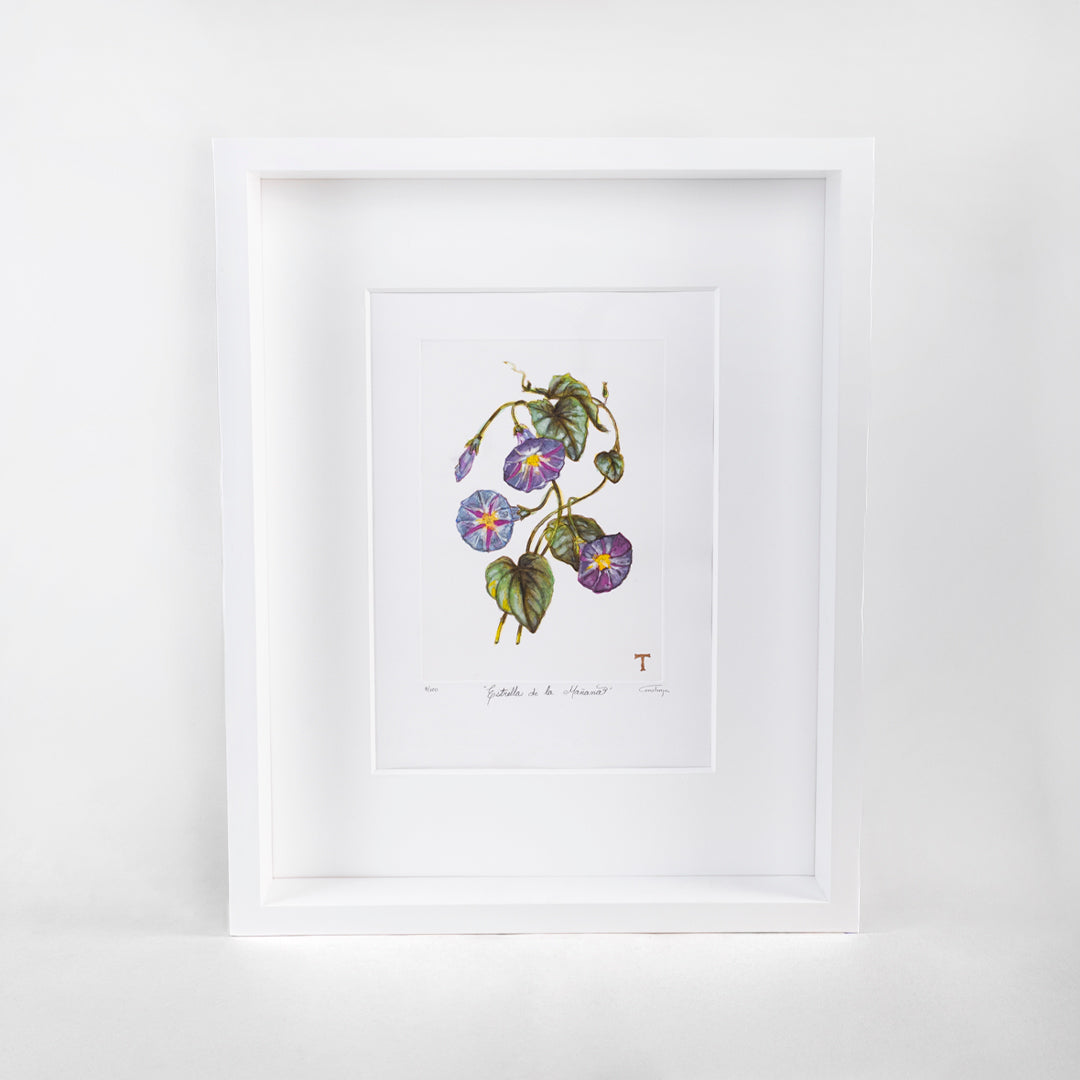 ESTRELLA DE LA MAÑANA / MARCO 51.5CM AL 42CM L 5CM AN