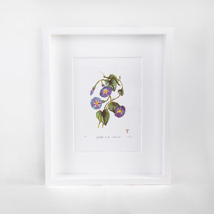 ESTRELLA DE LA MAÑANA / MARCO 51.5CM AL 42CM L 5CM AN