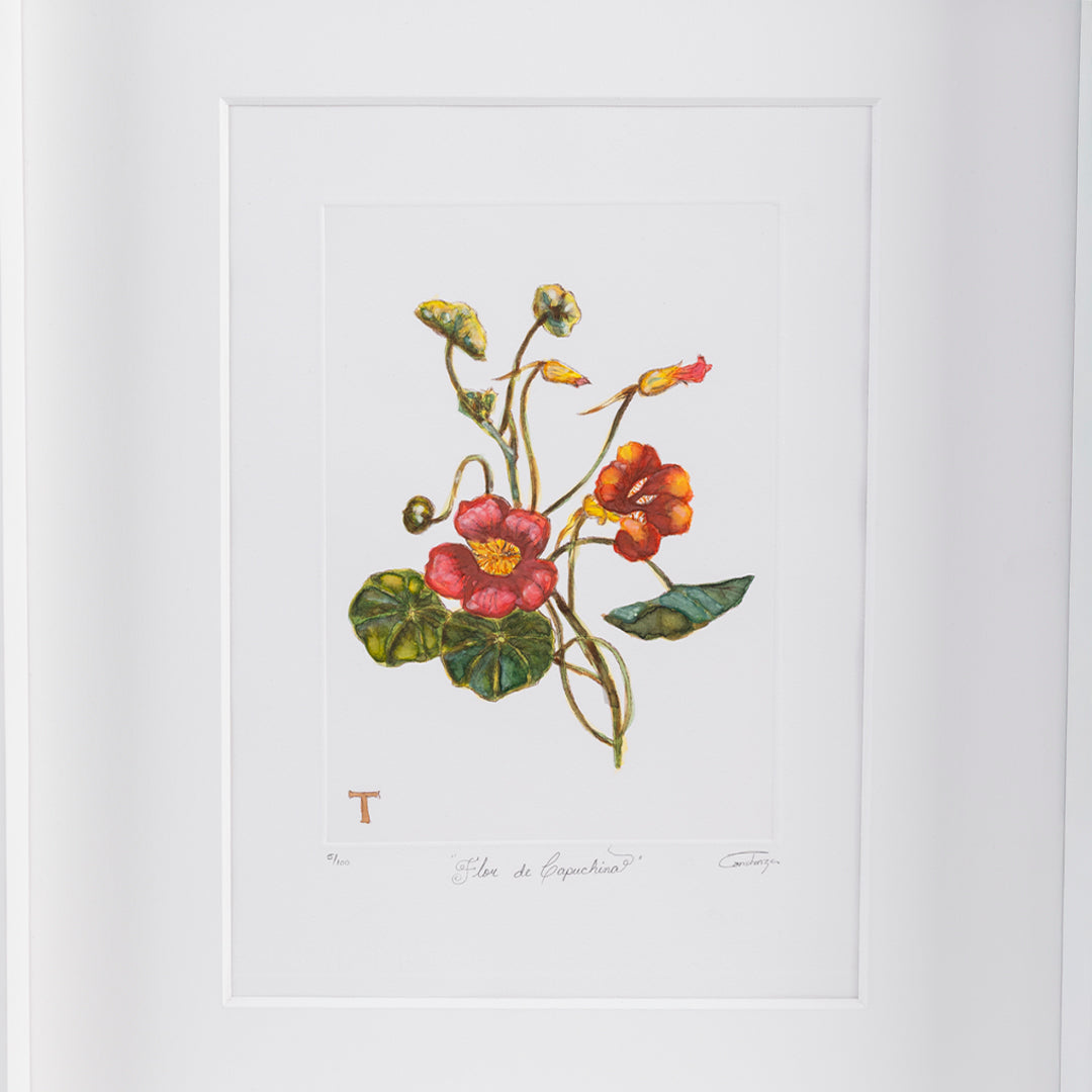 FLOR CAPUCHINA / MARCO 51.5CM AL 42CM L 5CM AN