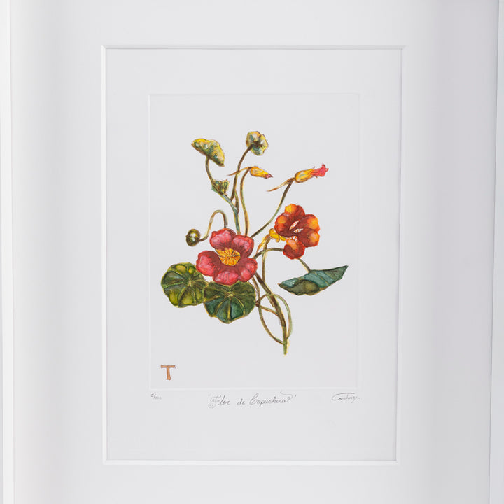 FLOR CAPUCHINA / MARCO 51.5CM AL 42CM L 5CM AN