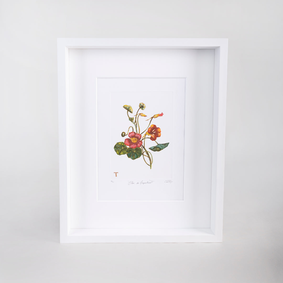 FLOR CAPUCHINA / MARCO 51.5CM AL 42CM L 5CM AN