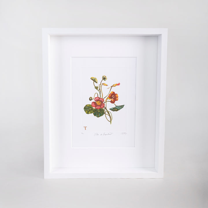 FLOR CAPUCHINA / MARCO 51.5CM AL 42CM L 5CM AN