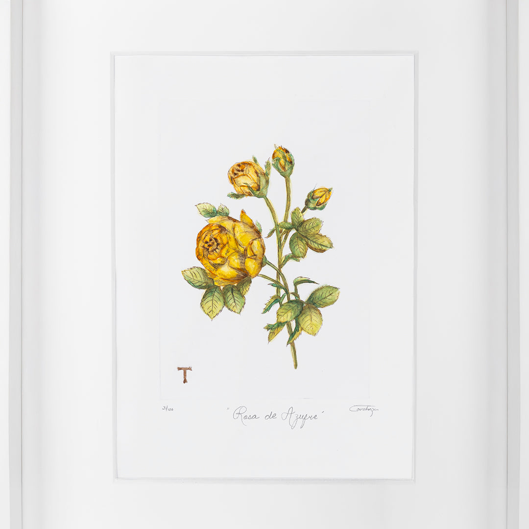 ROSA DE AZUFRE / MARCO 51.5CM AL 42CM L 5CM AN
