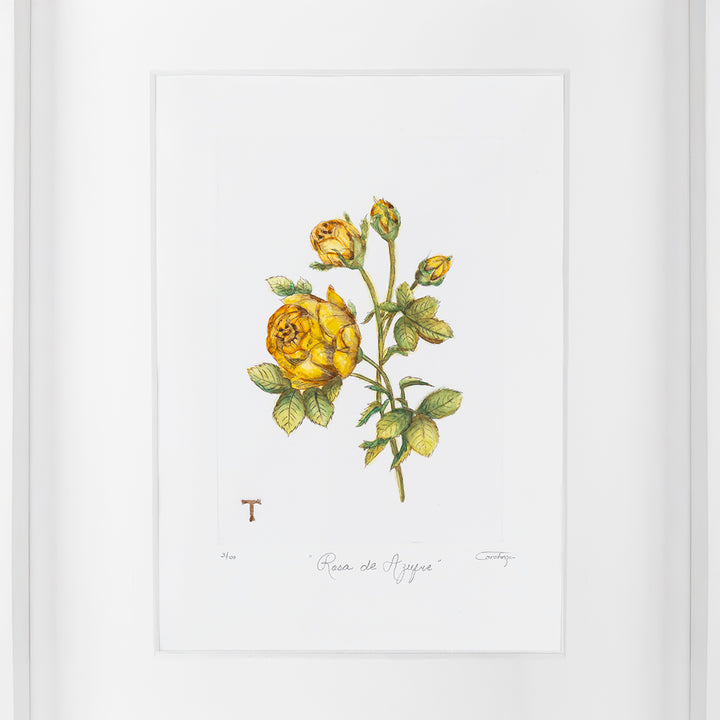 ROSA DE AZUFRE / MARCO 51.5CM AL 42CM L 5CM AN