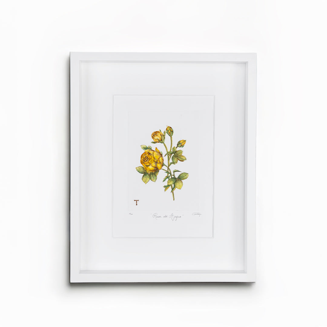 ROSA DE AZUFRE / MARCO 51.5CM AL 42CM L 5CM AN