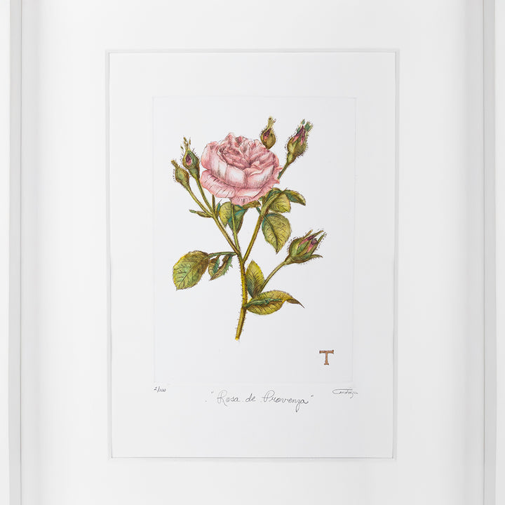 ROSA DE PROVENZA /MARCO 51.5CM AL 42CM L 5CM AN