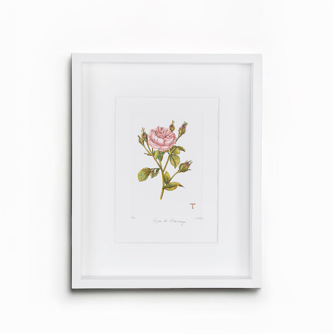 ROSA DE PROVENZA /MARCO 51.5CM AL 42CM L 5CM AN