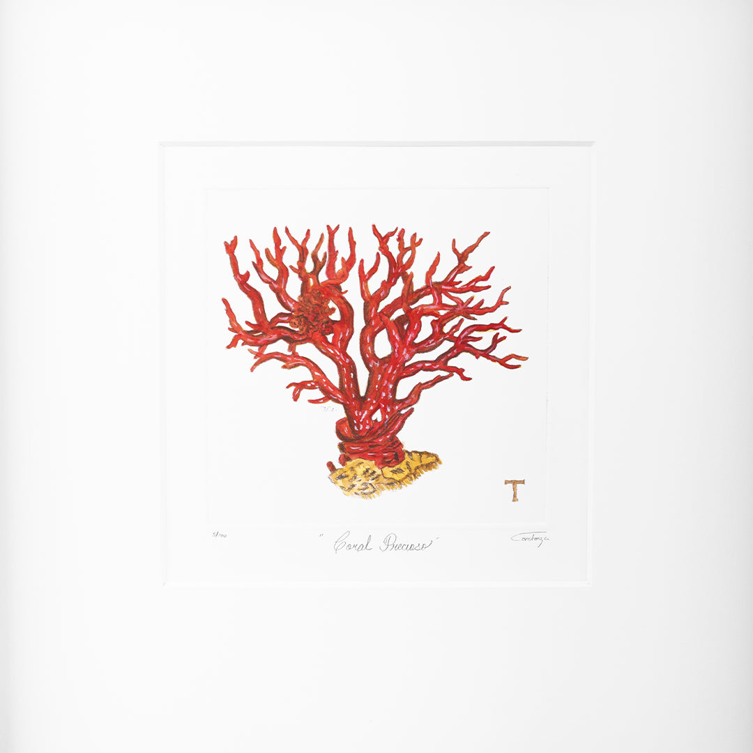 CORAL PRECIOSO / MARCO 48.5CM AL 48.50CM L 4.5CM AN