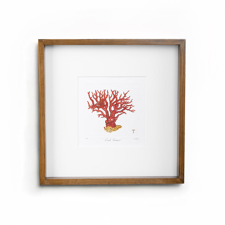 CORAL PRECIOSO / MARCO 48.5CM AL 48.50CM L 4.5CM AN