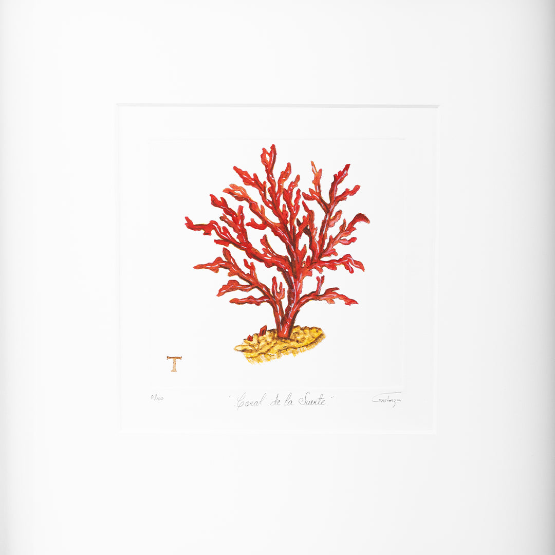 CORAL DE LA SUERTE / MARCO 48.5CM AL 48.50CM L 4.5CM AN