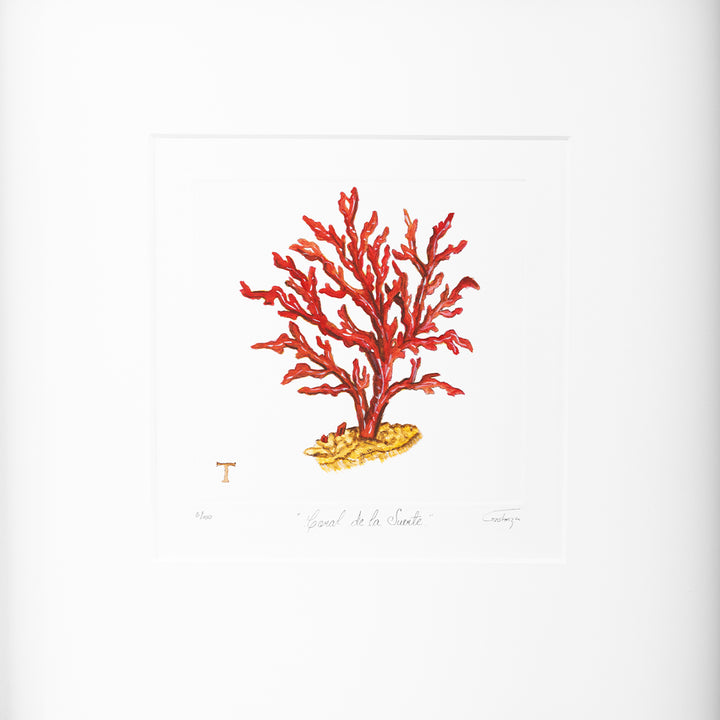 CORAL DE LA SUERTE / MARCO 48.5CM AL 48.50CM L 4.5CM AN
