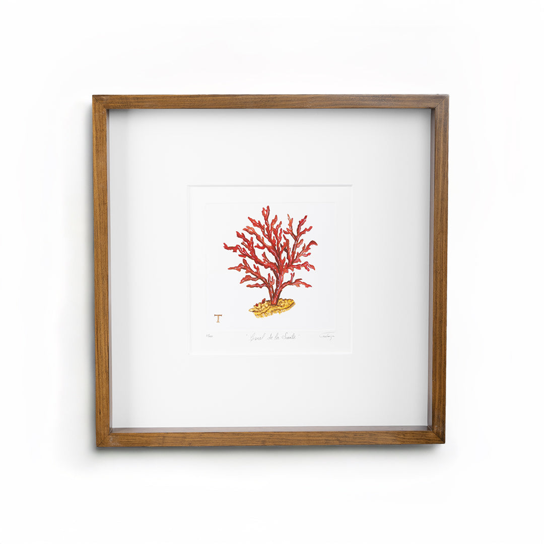 CORAL DE LA SUERTE / MARCO 48.5CM AL 48.50CM L 4.5CM AN