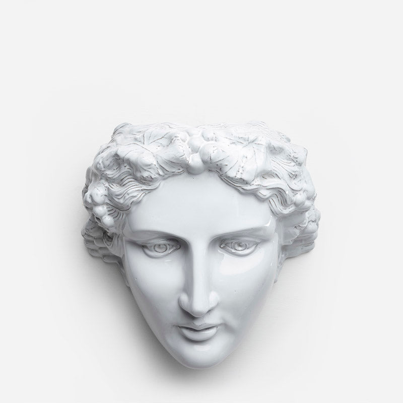 JARDINERA MUSA DE PARED 26CM AL 25CM L 18.5CM AN | Trinitate