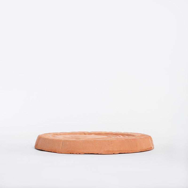 PISADA CARACOL 3CM AL 31CM D | Trinitate