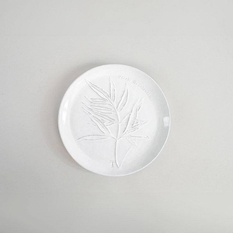 PLATO HELECHO PTERIS DENTICULATA 22CM D | Trinitate