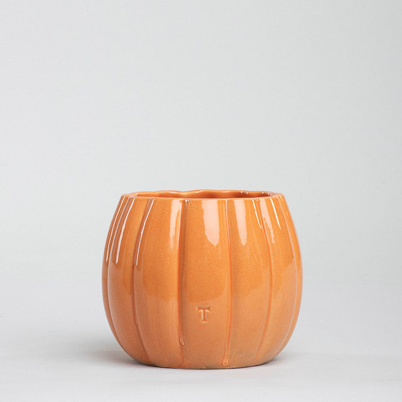 FLORERO FLOR CON GAJOS 12CM AL 11CM D | Trinitate