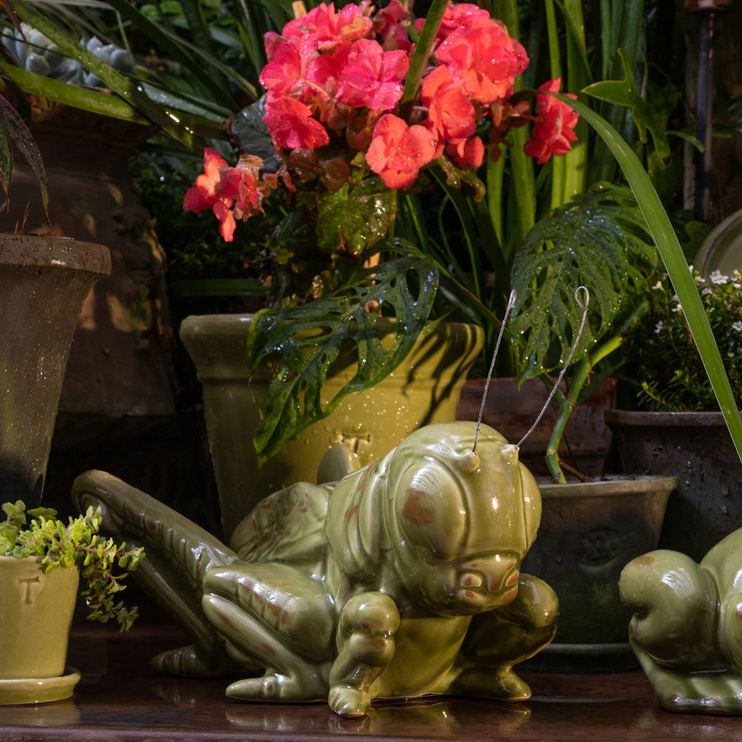 CHAPULIN 13.5CM AL 30CM L 17CM AN