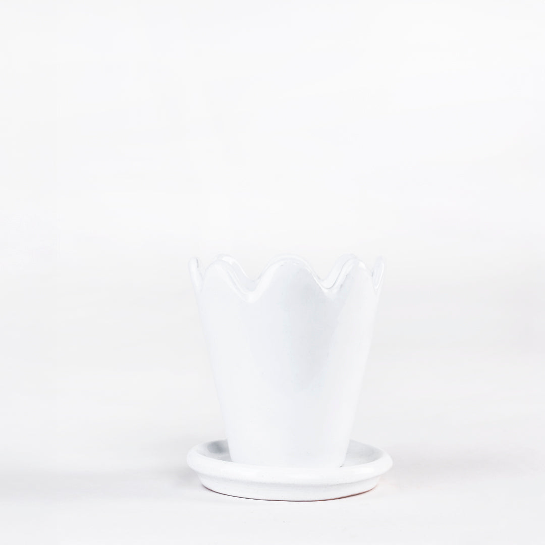 SET MACETA FLOR 10CM AL 9CM D /1014