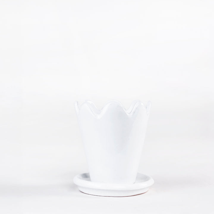 SET MACETA FLOR 10CM AL 9CM D /1014