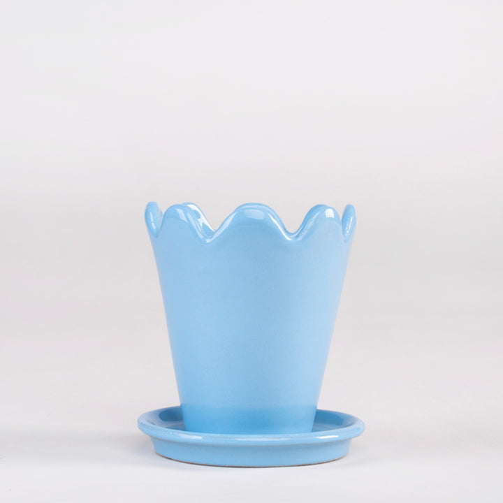 SET MACETA FLOR 10CM AL 9CM D /1014