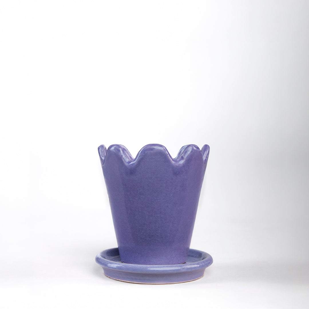 SET MACETA FLOR 10CM AL 9CM D /1014