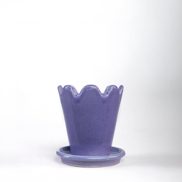 SET MACETA FLOR 10CM AL 9CM D /1014