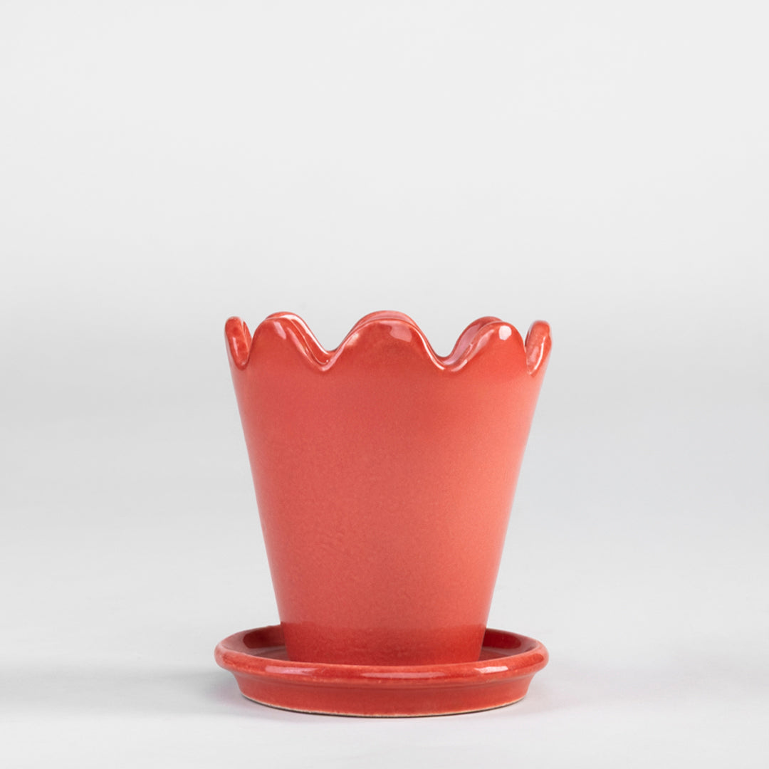 SET MACETA FLOR 10CM AL 9CM D /1014