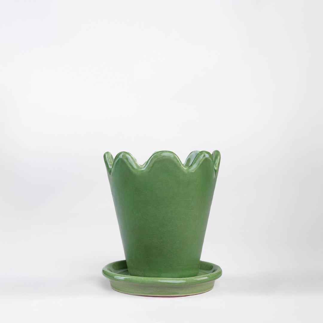 SET MACETA FLOR 10CM AL 9CM D /1014