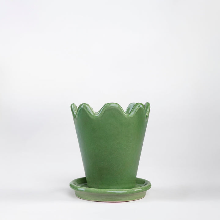 SET MACETA FLOR 10CM AL 9CM D /1014