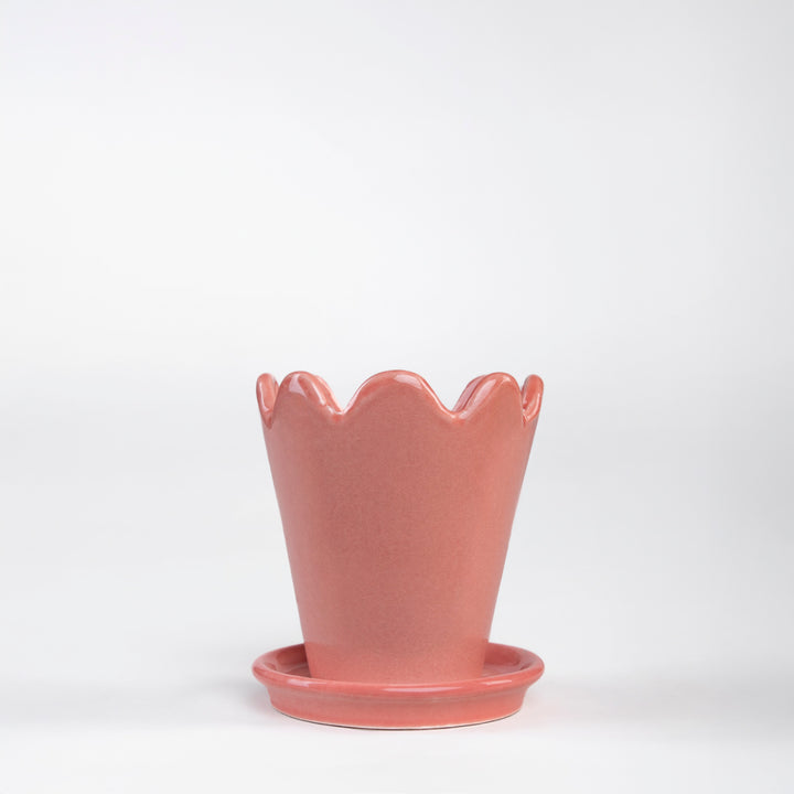 SET MACETA FLOR 10CM AL 9CM D /1014