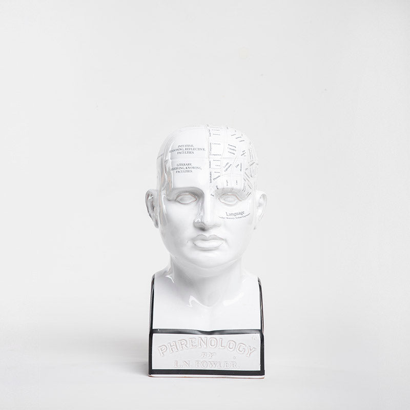 BUSTO FRENOLOGIA 35 CM AL 18CM L 21CM AN | Trinitate