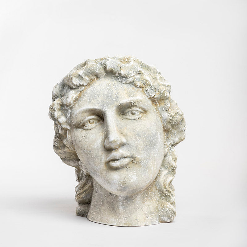 JARDINERA MUSA DE MESA 31CM AL 28CM L 26CM AN | Trinitate