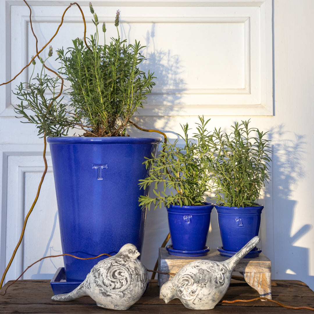 PALOMA GRECAS COMIENDO 19CM AL 26CM L 13.5CM AN | Trinitate