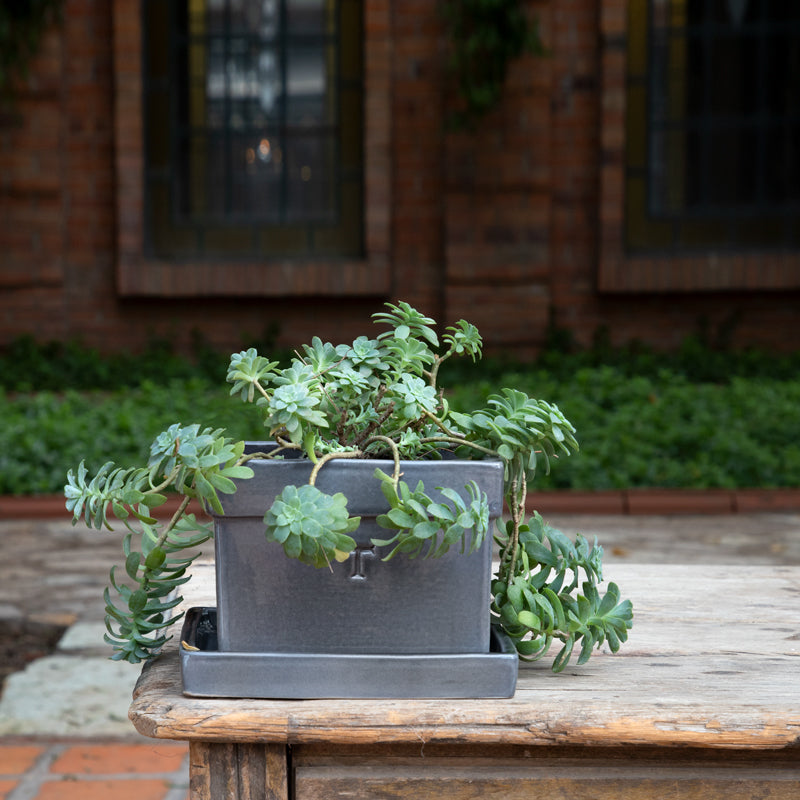 SET MACETA CUADRADA 12CM AL 16.5CM L 16.5CM AN/9711