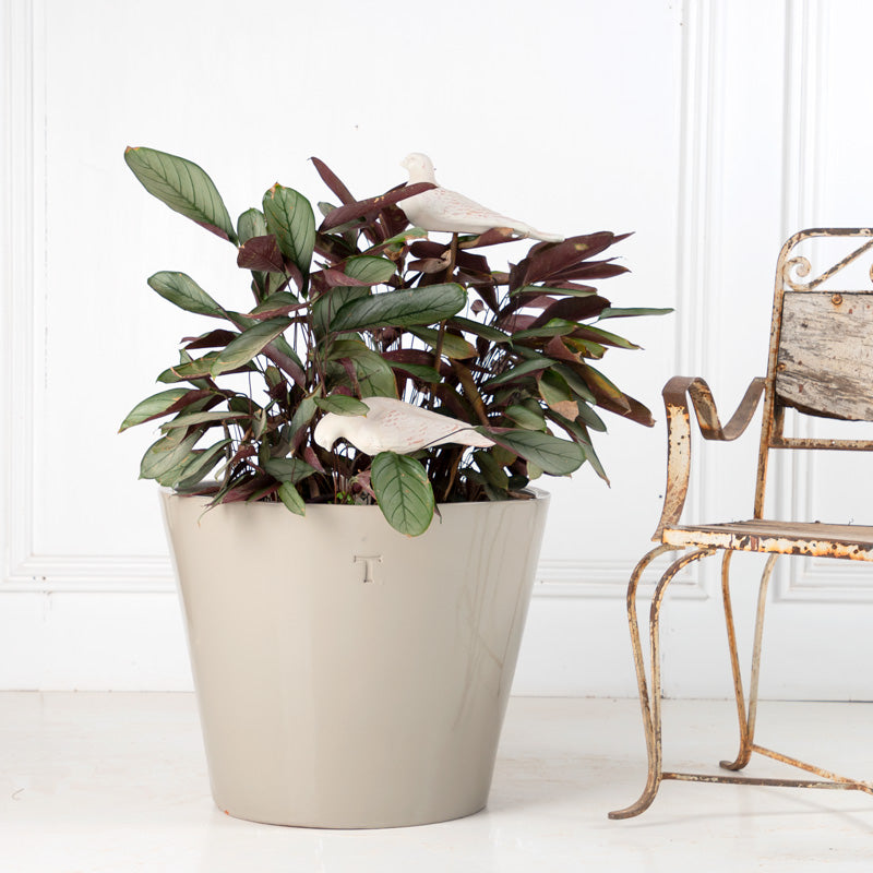 VASO 50CM AL 61CM DBOCA