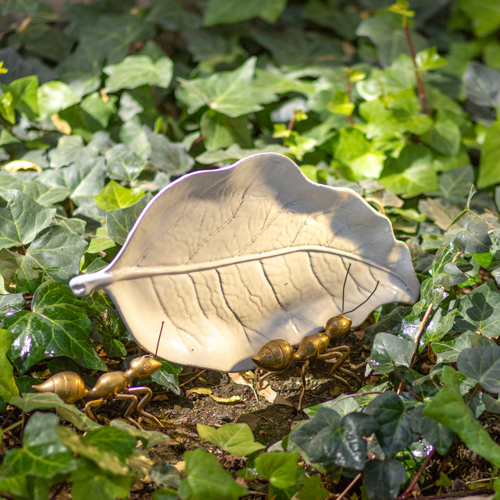 PLATON ELEGANT LEAF 50.5CM L 26.5CM W